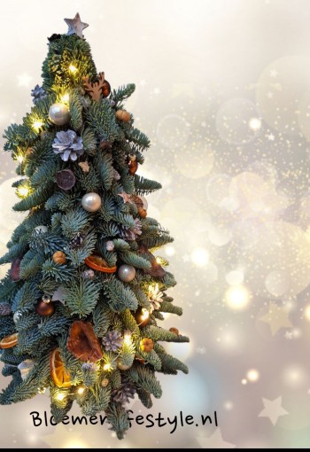 Kerstboompjes en festoenen