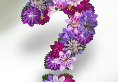 Bloem & Lifestyle Verrassingsboeket