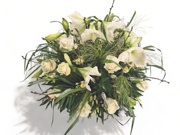 Biedermeier Amaryllis