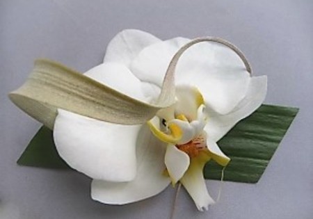 Bruidegomscorsage Phalaenopsis op blad