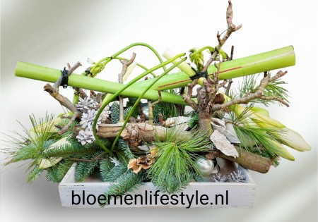 Kerststuk Amaryllis