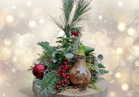 Kerststuk met amaryllisbol