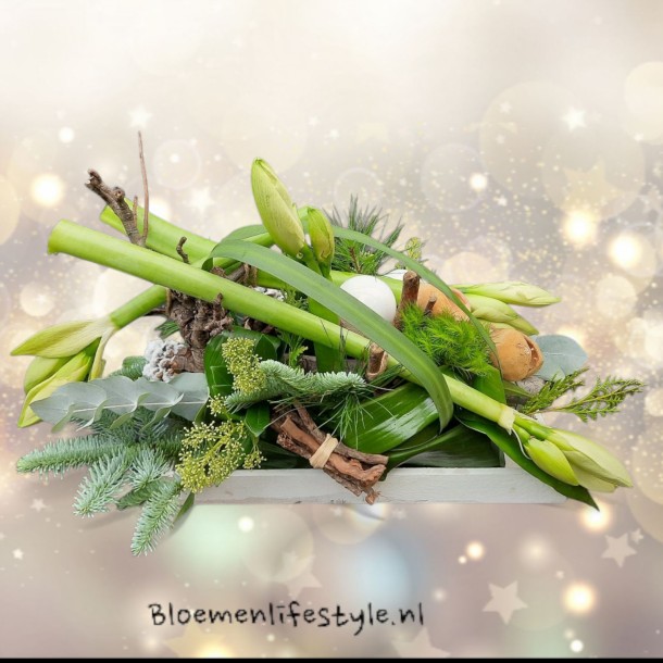 Kerststuk 'Moderne Amaryllis'