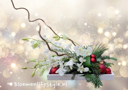 Kerststuk met Orchidee