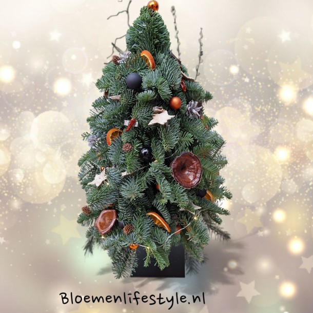 Kerstboom op voet