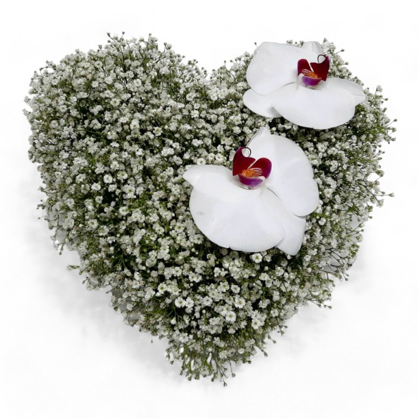 Hart 'Tederheid'