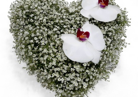 Hart 'Tederheid'