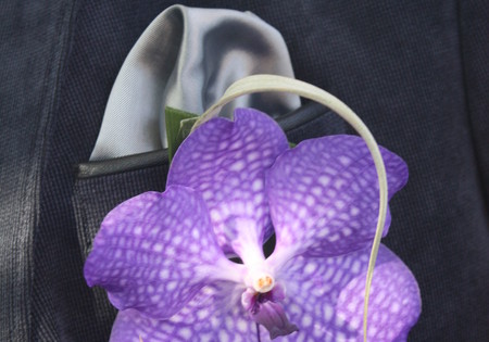 Bruidegomscorsage met Vanda (orchidee)