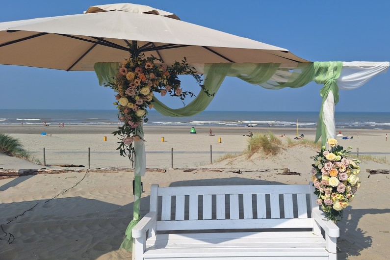 Backdrop strandsetting