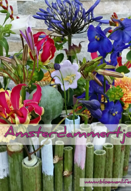 Amsterdammertje