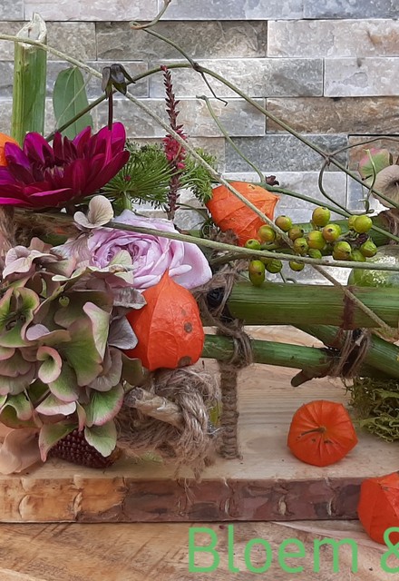 OP en TOP Herfst