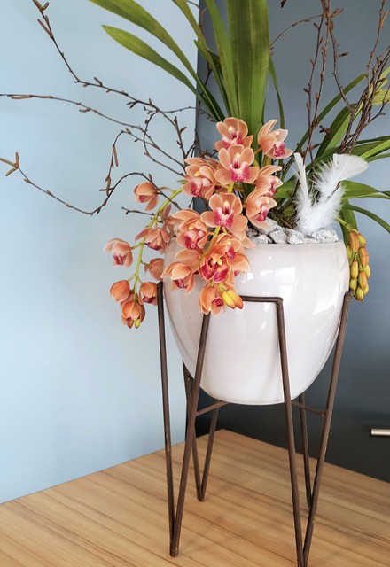 Plantenarrangement met cascade orchidee