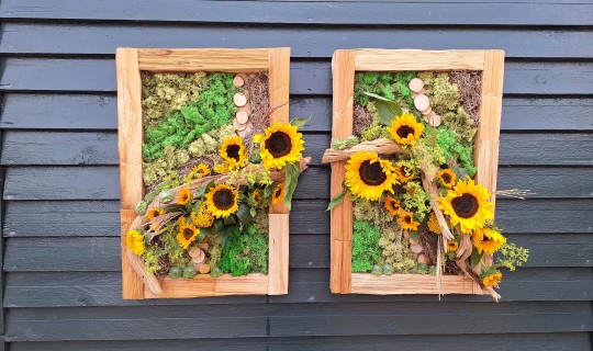 Zonnebloemen in the picture