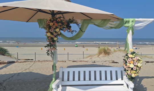 Backdrop strandsetting